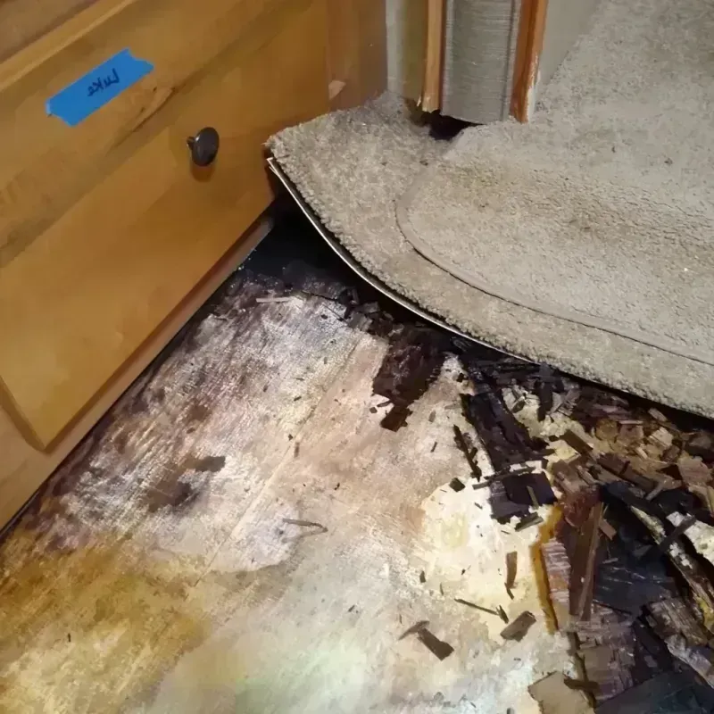 Best Wood Floor Water Damage Service in Shoreview, MN